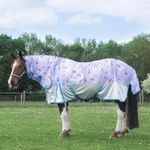 Gallop Trojan & Ponie  'Pegacorn' Combo Fly Rug,  3'6" - 7'0"