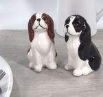 King Charles Spaniel novelty Salt & Pepper shaker set ceramic Dog lover gift box