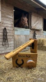 Foldaway Saddle Racks .                      With Bridle & Headcollar Hooks