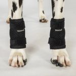 Back On Track Dog Leg Braces (Pair)