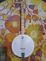 Tenor Banjo Deering Erin Celtic Star Goodtime Musical Instrument