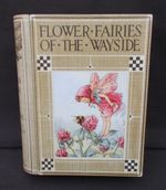 COLLECTABLE BOOK SHAPED TIN CICELY MARY BARKER FLOWER FAIRIES OF THE WAYSIDE