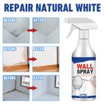 Versatile Wall Repair Mending Spray Paint, Stain Remover for Wall Ceiling 60ml