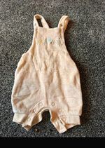 Next Newborn Beige Velour Animal Embroidered Playsuit Sleeveless Snap