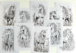 Fantasy Unicorns Postcards, art colouring pages