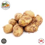 Fresh Jersey Royal New Potatoes - New Season Crop from the Island of Jersey