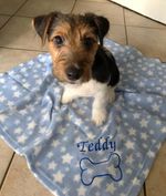 PERSONALISED DOG/PUPPY FLEECE FIRST BLANKET FOR BED NAME EMBROIDERED