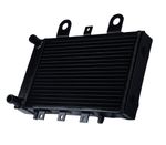 For Triumph Aluminium Radiator Thunderbird Sport 900 Legend TT Adventurer 96-02