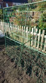 Easynets Pea & Bean Support Frame H: 1.8m L: 1.8m