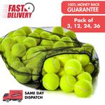 12/24 Tennis Balls with Mesh Carry Bag Outdoor Fun, Beach, Cricket, Dog Toy Play