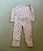 2pc Pink Ladybug Animal Print Long Sleeve Top & Leggings Set 12-18M