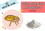 Natural Organic Flea Treatment For Dogs - Kill Mites Fleas Ticks Lice Insects