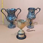 3 Vintage Trophy - Argus/Harriers 1894, KNRF Fraserburgh Pigeon Racing, Gray Cup
