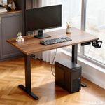 Height Adjustable Desk Electric Standing Desk Home Office Memory Preset 120x60cm