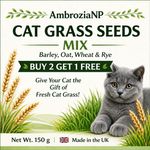 150g Organic Cat Oat Wheat Barley Rye Grass  ~ BUY 2 GET 1 FREE /BUY3 GET 2 FREE