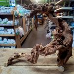 Gnarly Scapers Wood Aquarium Vivarium Natural Driftwood Bogwood 