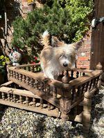 Pair Antique Indian Wooden Crib Cradle Dog Bed Planter Garden Crate Hanging