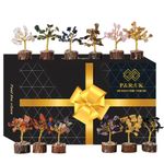 12pc Mini Crystal Tree Set – Gemstone Healing Chakra Spiritual Home Décor