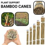 2FT 3FT 4FT 5FT 6FT  Bamboo Canes Strong Thick Quality Garden Plant Support UK