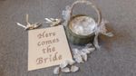 flower girl basket