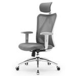 SIHOO  Ergonomic Office Chair, Computer Desk Chair with Adjustable Headrest