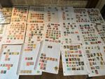 AUSTRALIA stamps QV States Roos KGV heads on 21 leaves  b4