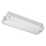 NVC LED Emergency Bulkhead Maintained IP65 6000K 3 Hour Nebraska LiFe NNEM3