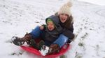 Heavy Duty Sledge Large Adults Kids Children Zig Zag Ice Sledge With Blue Rope