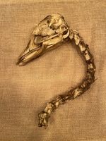 Goose Skull And Spine Farmyard Domestic