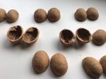 Walnut Shells Perfect Halves for DIY ART Craft Projects Pack of 12 (matched)