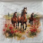 2 x cocktail paper napkins for decoupage Trotting horses poppy flower meadow