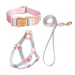 Pet Dog Collars, Leads and Harnesses - Dots Pattern - 3 Colour Choices