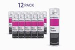 Glass Cleaner 500ml Aerosol Pack Of 12