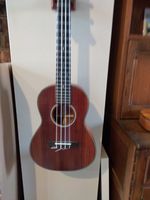 Cort Blackwood Tenor Ukulele