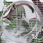 Hamster Exercise Wheel Training Activity for Gerbils Rats Mice Wire Mesh