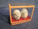 Vintage Oriental CHINESE painted EGGS ~ Rural Scenic -in Display Case, Art, sp.D