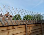 Garden Trellis Fence Height Extension Razor Wire Mesh Panel (1920mm x 330mm)