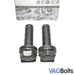 Genuine VW Audi Front Brake Caliper Carrier Bolt X2 M14x48