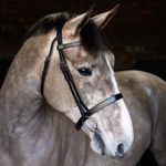 Cottage Craft Cavesson Bridle Black