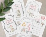 Elephant Milestone Cards • Pink Elephant Memory Cards •  Baby Gift • 1st Year