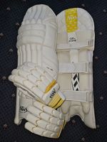 Arks Cricket : Cricket Batting Pads & Premium Pittard Gloves : Std Men's 