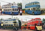 TROLLEYBUSES in PRESERVATION - Eight 6 x 4 inch glossy borderless colour prints