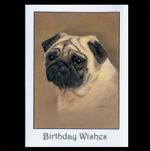 Pug dog art birthday card fawn large from original painting by Suzanne Le Good