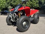 Quadzilla Stinger 100cc Junior Quad
