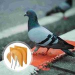 2 Pieces Pigeon House Door Pigeon Supplies for Cage Flying New