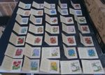 36 Kensita Silk Flowers Series 1 & 2 mixture incl duplicates  Medium Size