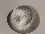 Engraved Glass Spider Paperweight