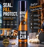Expanding Foam Filler Spray PU Bond Fill Sealing Cracks Insulating Gap 750ml