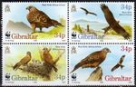 Gibraltar 1996 Birds, WWF, Red Kite, Set of 4, UNM / MNH