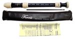 Ferris FR400S Soprano/Descant School Recorder Cleaning Rod Wipe Clean Case Chart